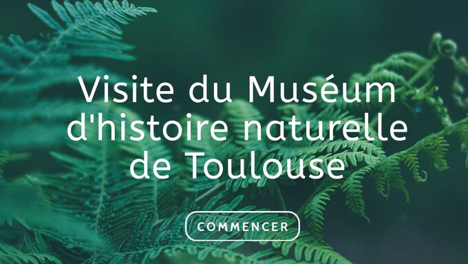 visite_virtuelle_museum_toulouse_genially.jpg